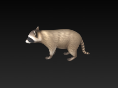 Woodland Raccoon