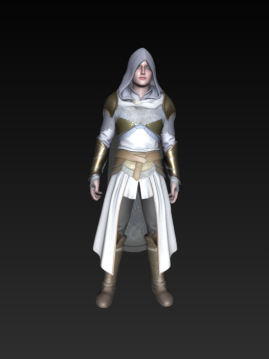 Silver Hooded Rogue