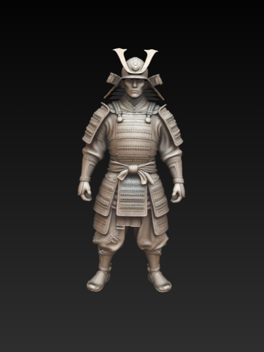 Armored Samurai